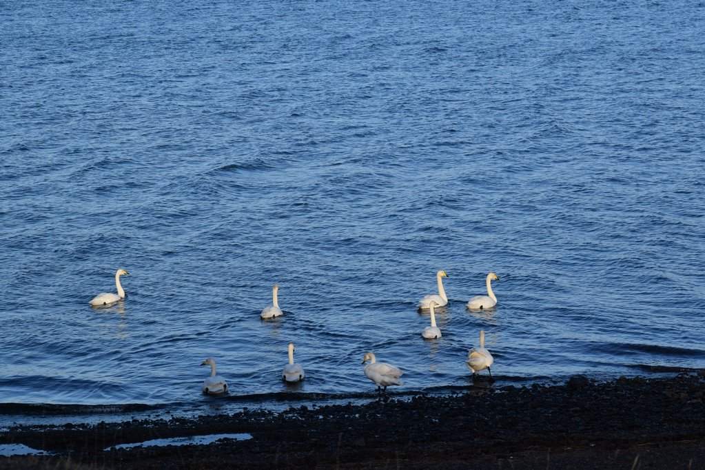 DSC_3257.JPG