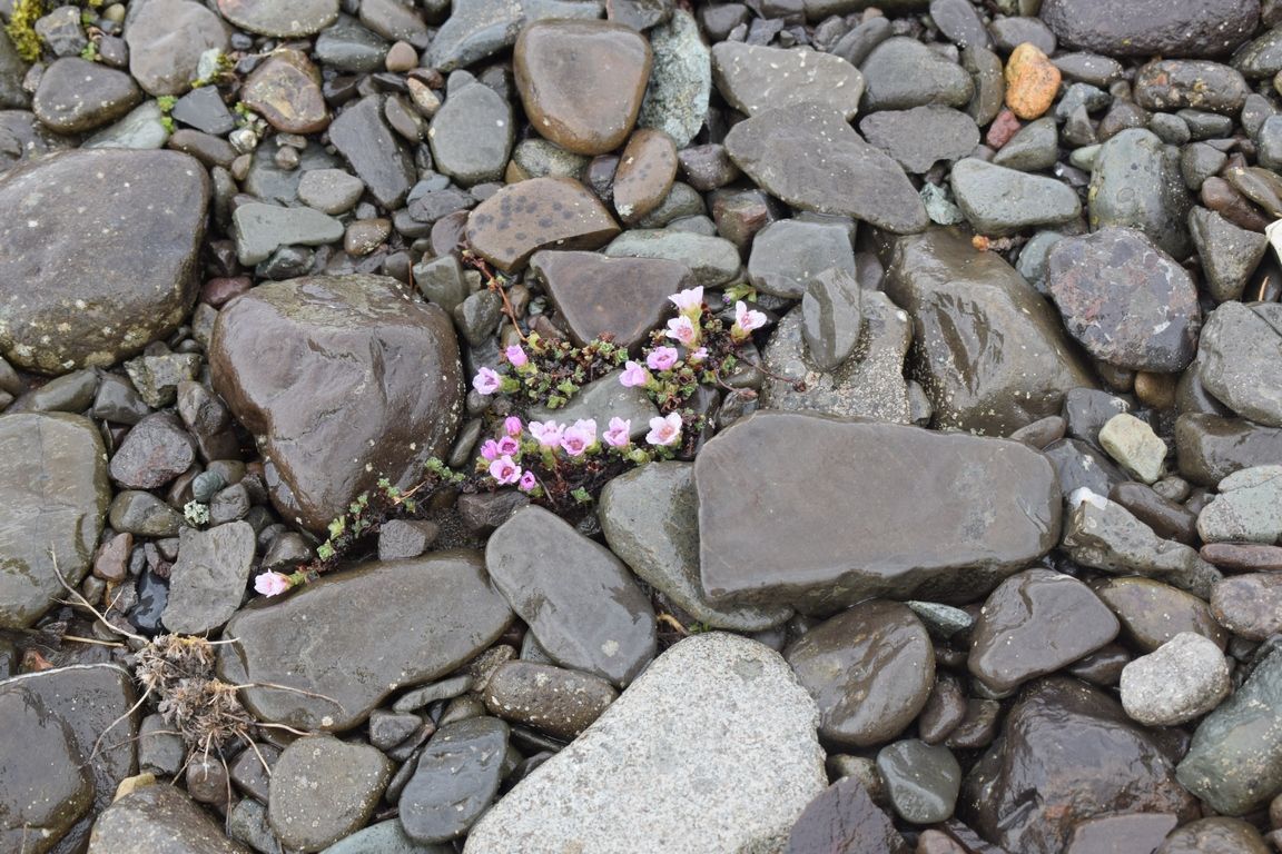 DSC_3329.jpg