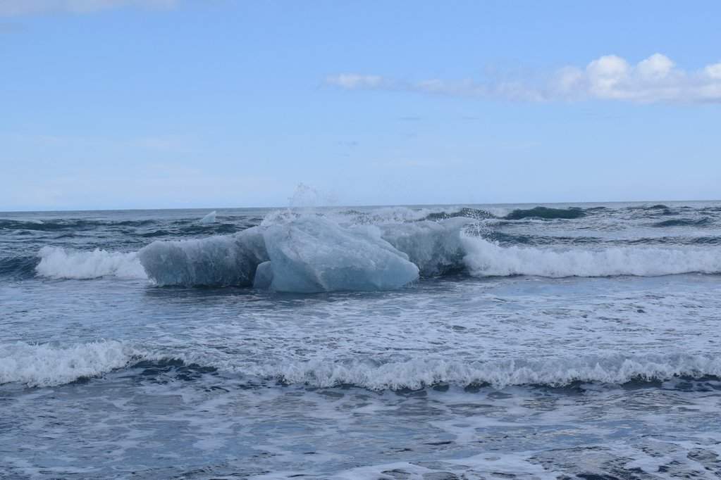 DSC_3420.JPG