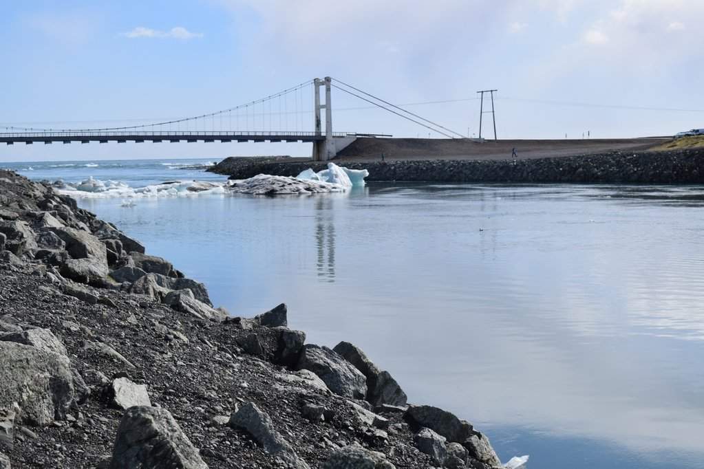 DSC_3480.JPG