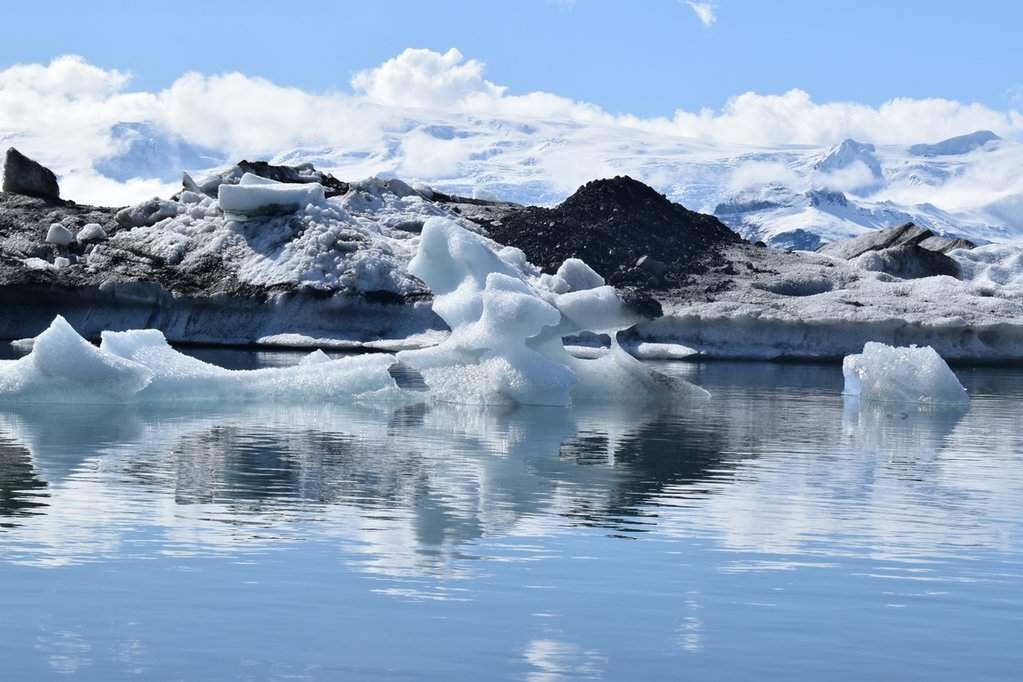 DSC_3487.JPG