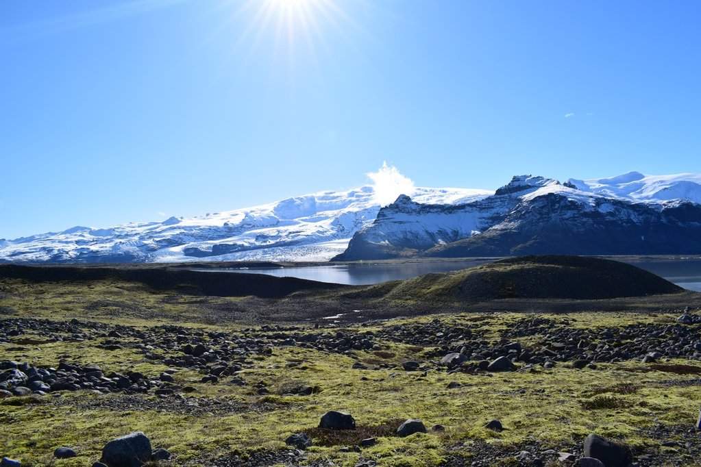 DSC_3534.JPG