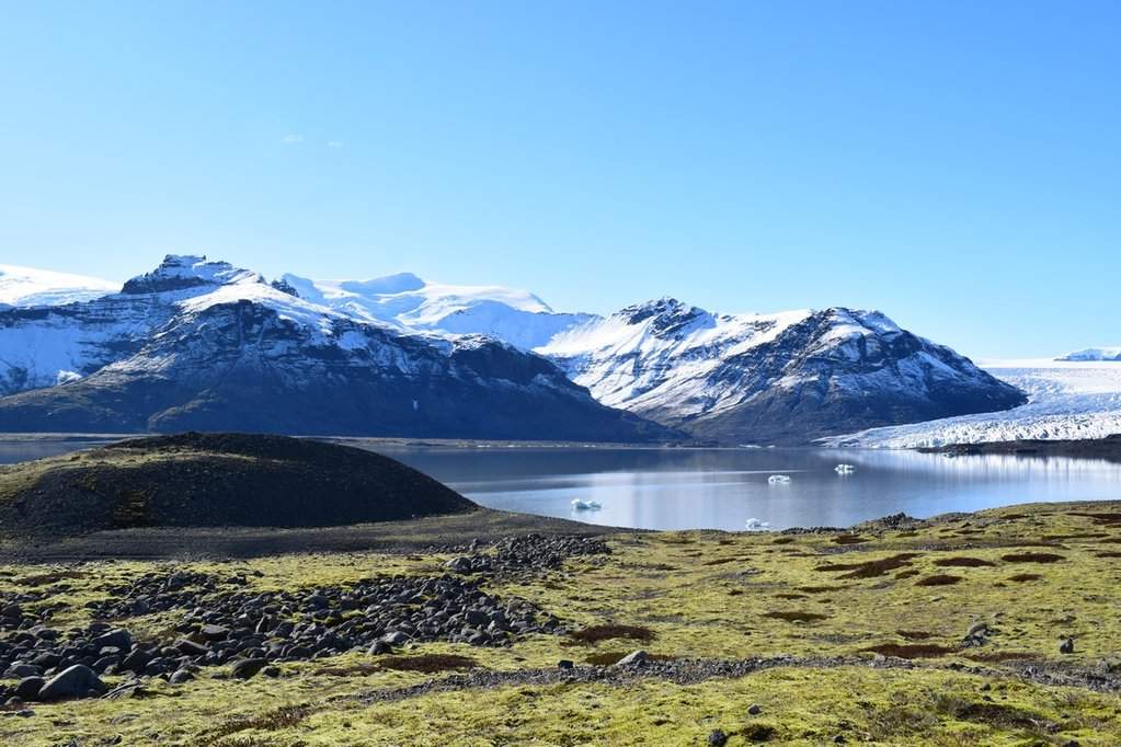 DSC_3535.JPG