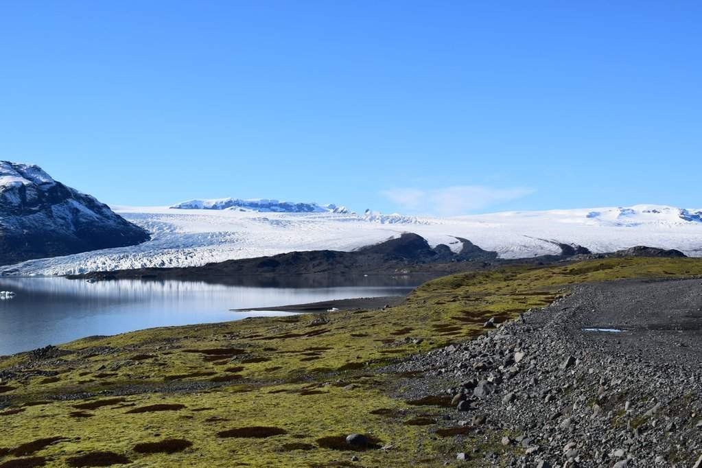 DSC_3537.JPG