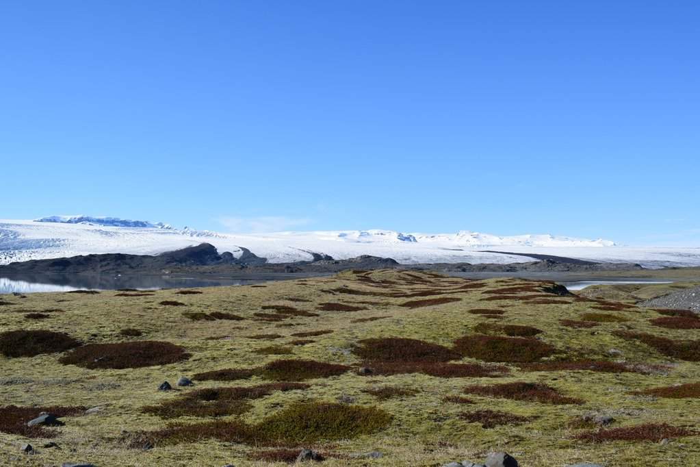 DSC_3541.JPG