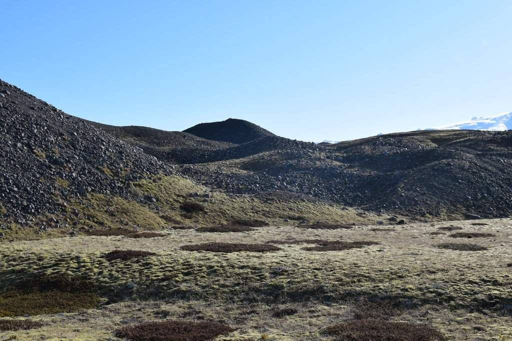 DSC_3573.JPG