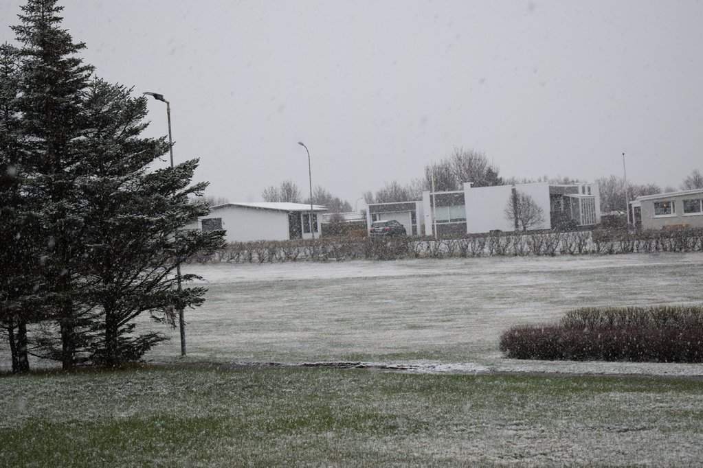 DSC_3618.JPG
