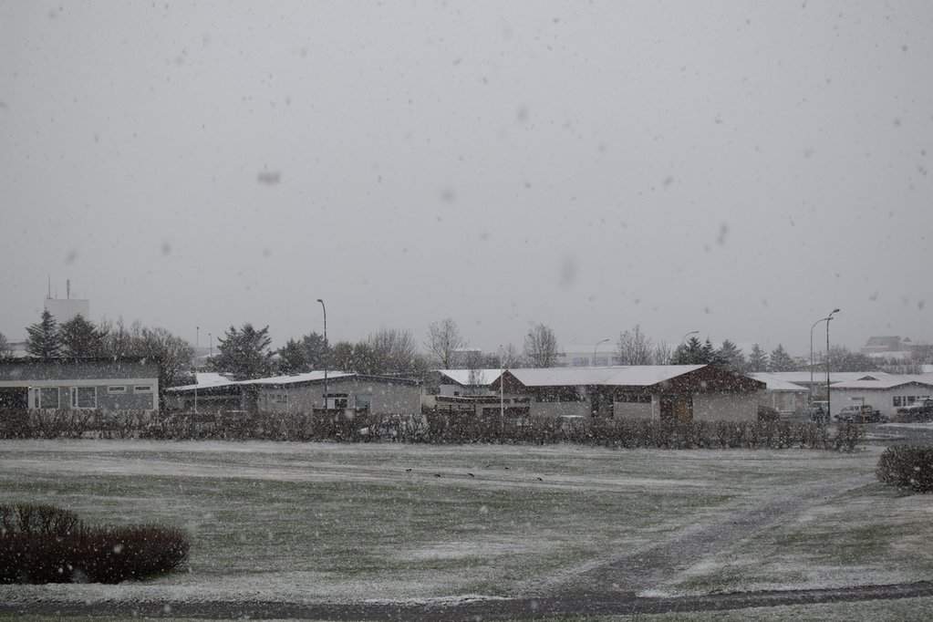 DSC_3620.JPG