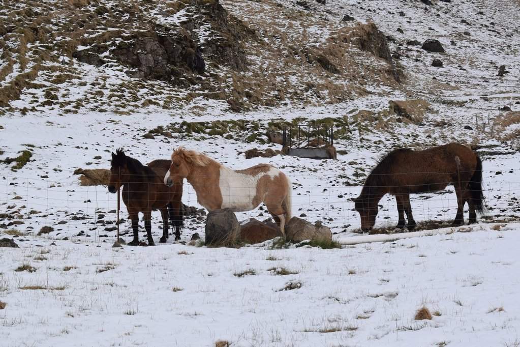 DSC_3638.JPG