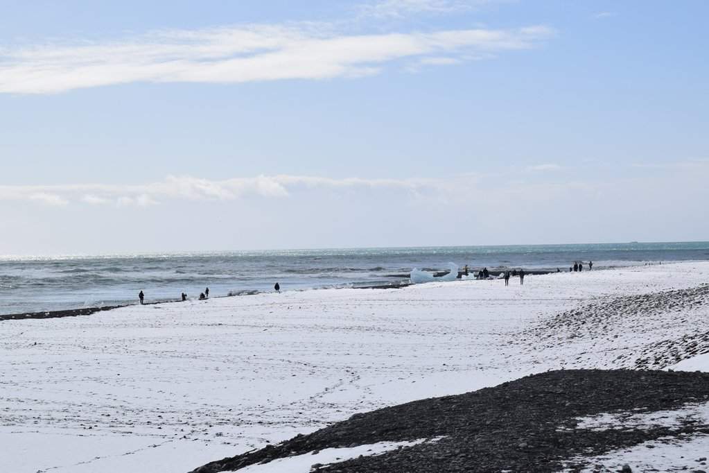 DSC_3650.JPG