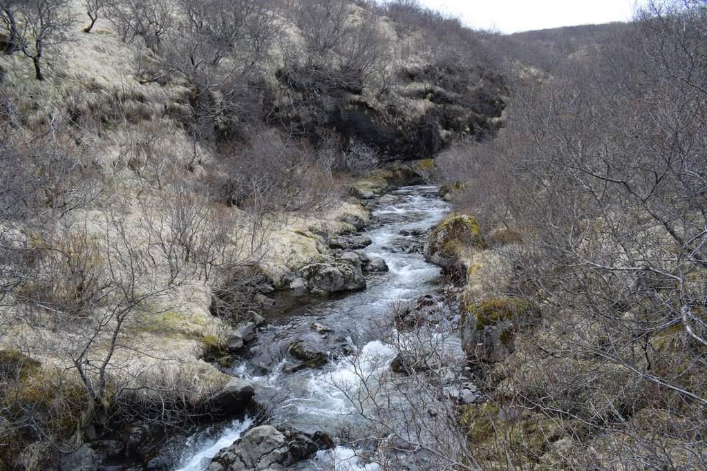 DSC_3680.JPG