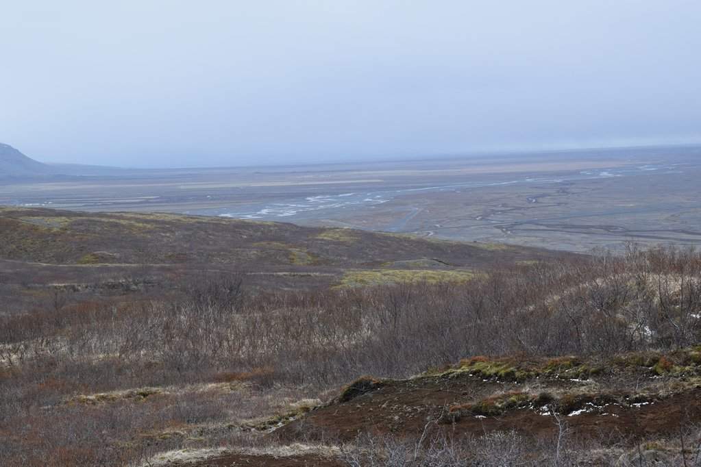 DSC_3766.JPG