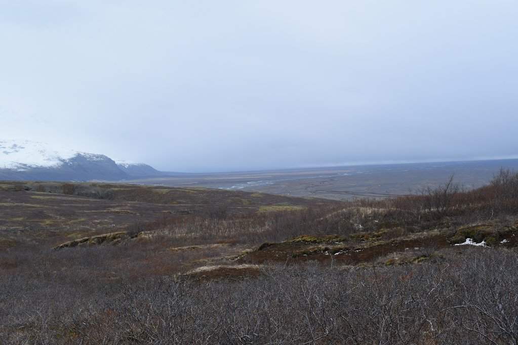 DSC_3768.JPG