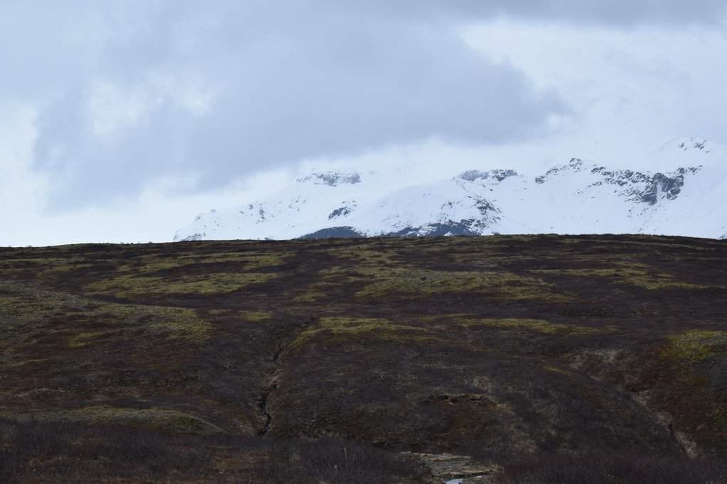DSC_3769.JPG