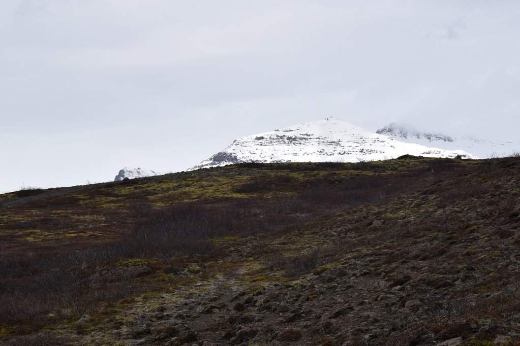 DSC_3772.JPG