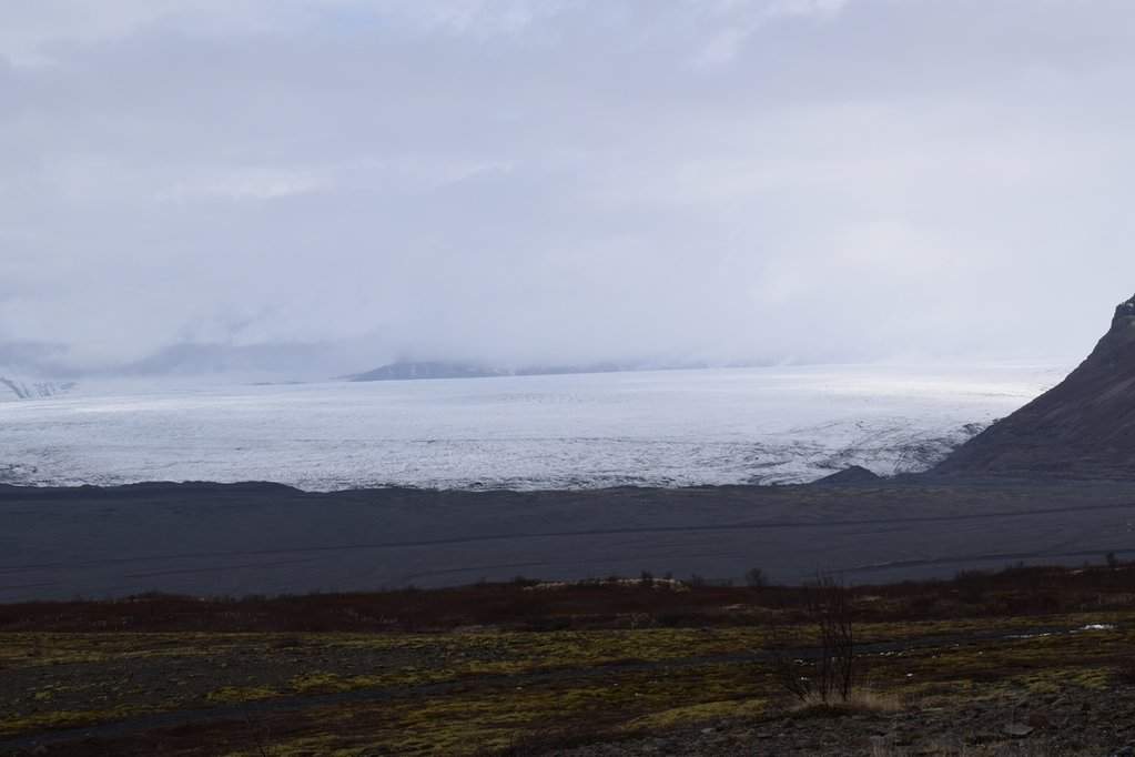 DSC_3779.JPG