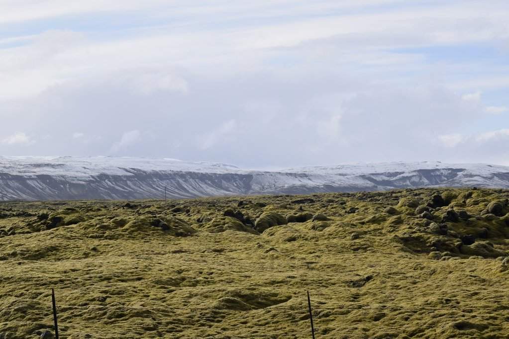 DSC_3867.JPG