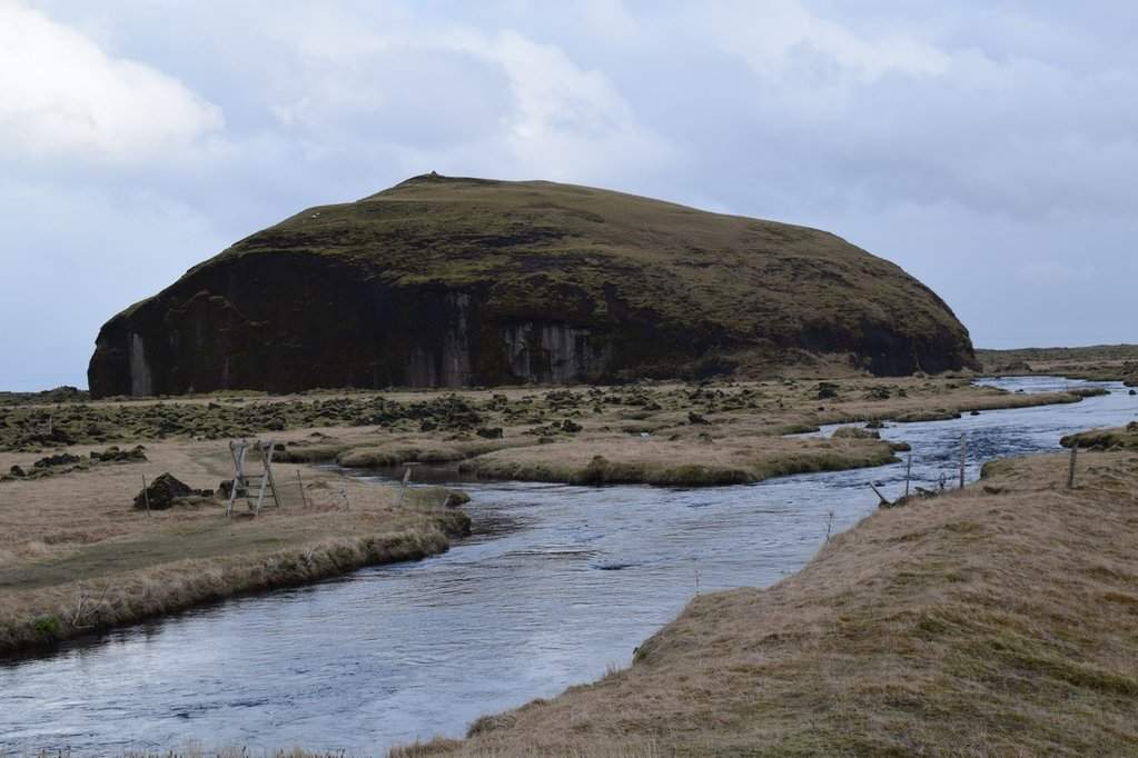 DSC_3890.JPG