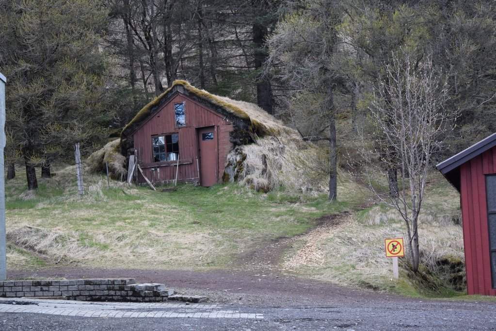 DSC_3938.JPG
