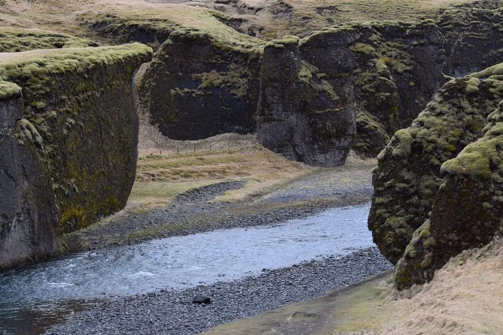 DSC_3977.JPG