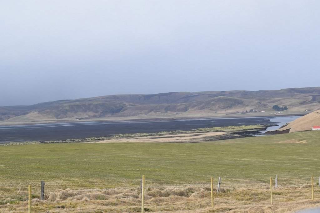 DSC_4003.JPG