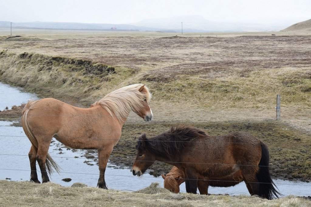 DSC_4008.JPG