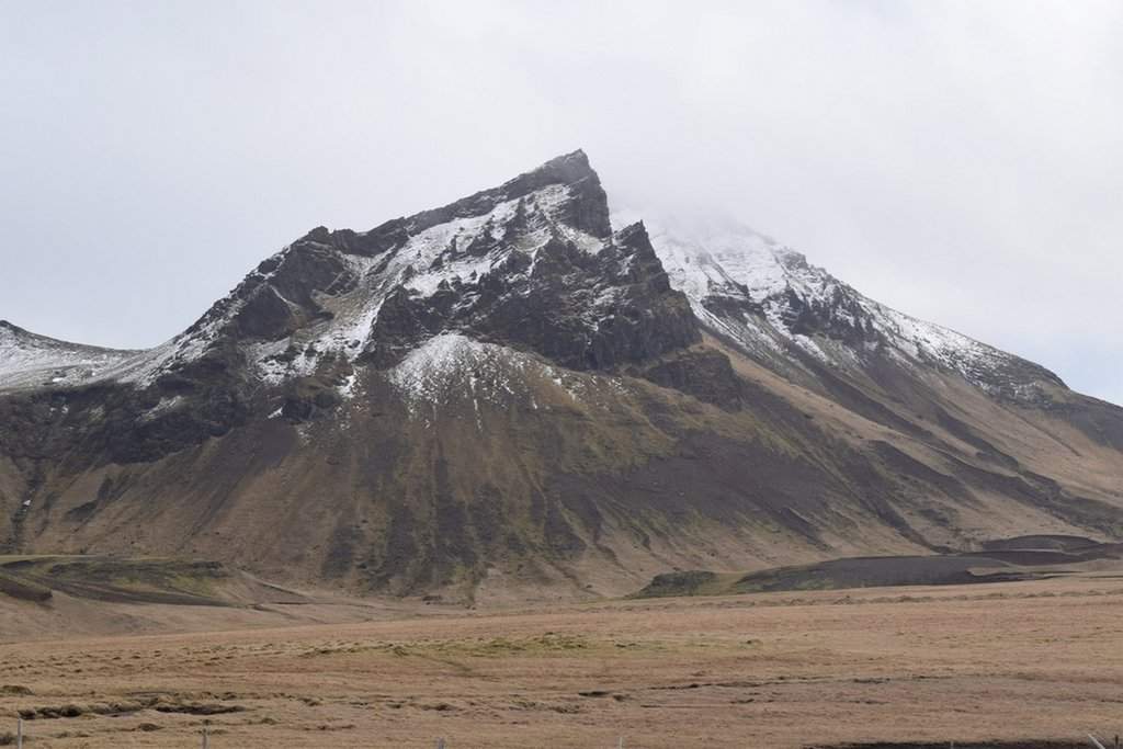 DSC_4046.JPG
