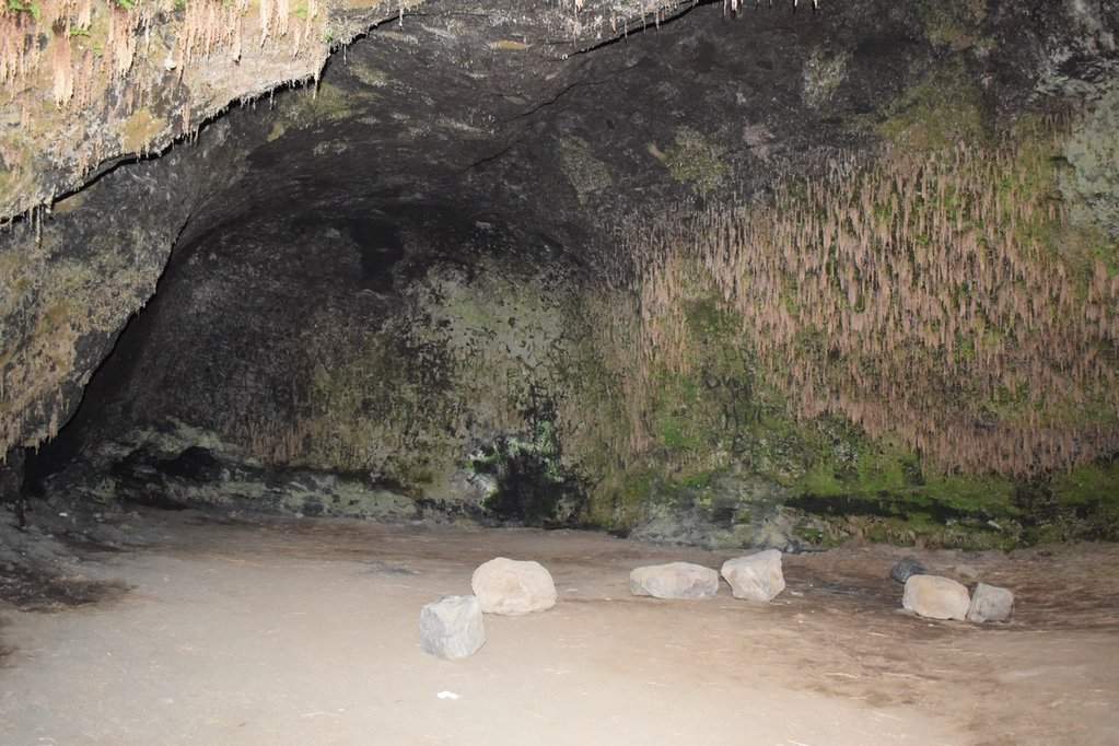 DSC_4198.JPG