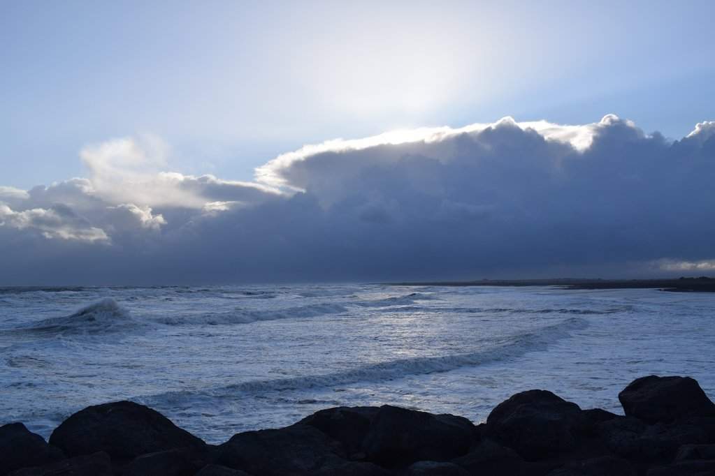 DSC_4278.JPG