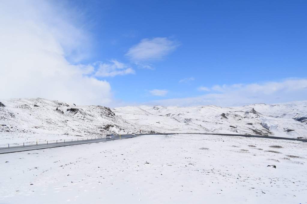 DSC_4291.JPG