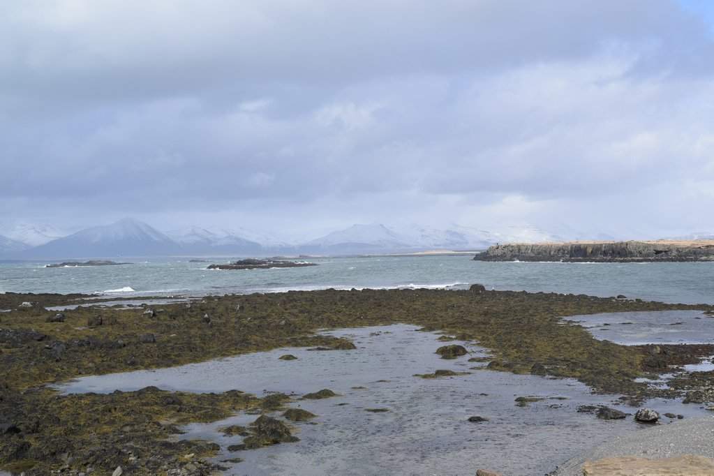 DSC_4370.JPG