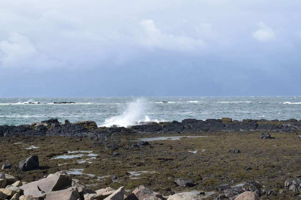 DSC_4381.JPG