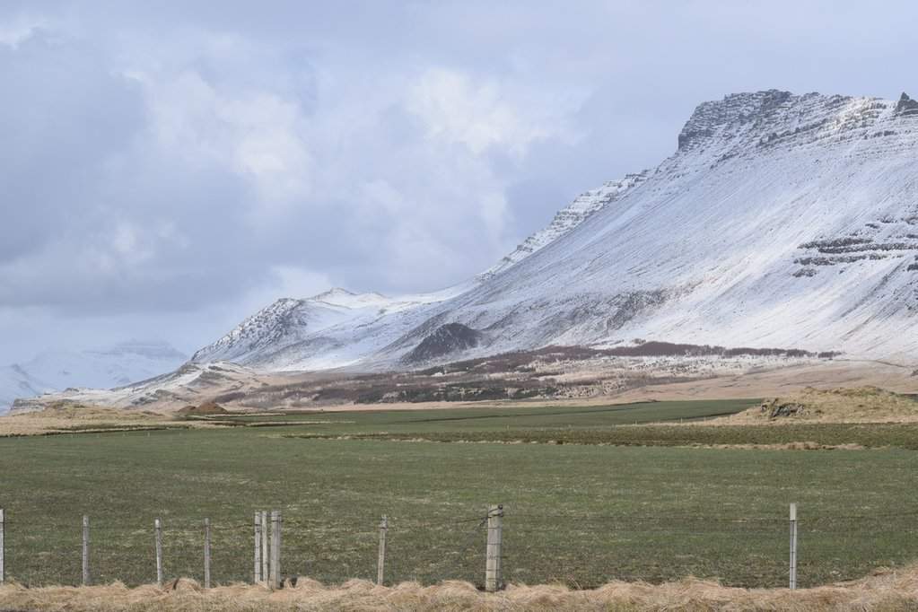 DSC_4416.JPG
