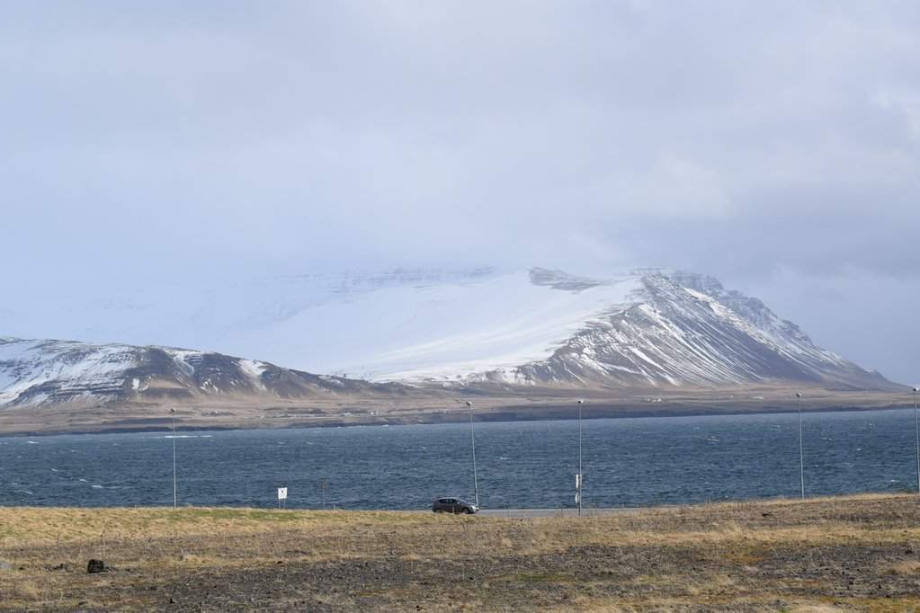 DSC_4422.JPG