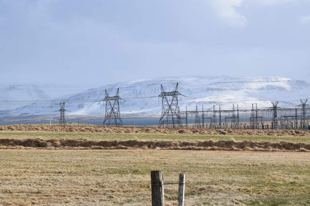 DSC_4425.JPG