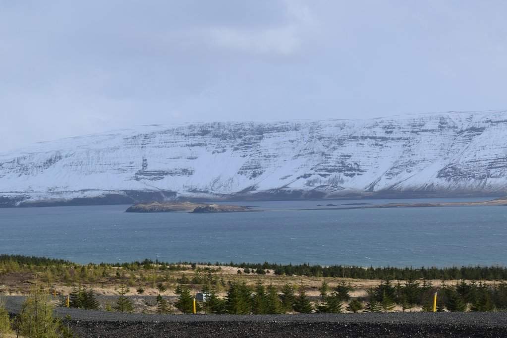 DSC_4430.JPG