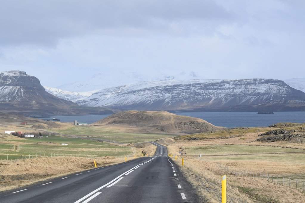DSC_4432.JPG