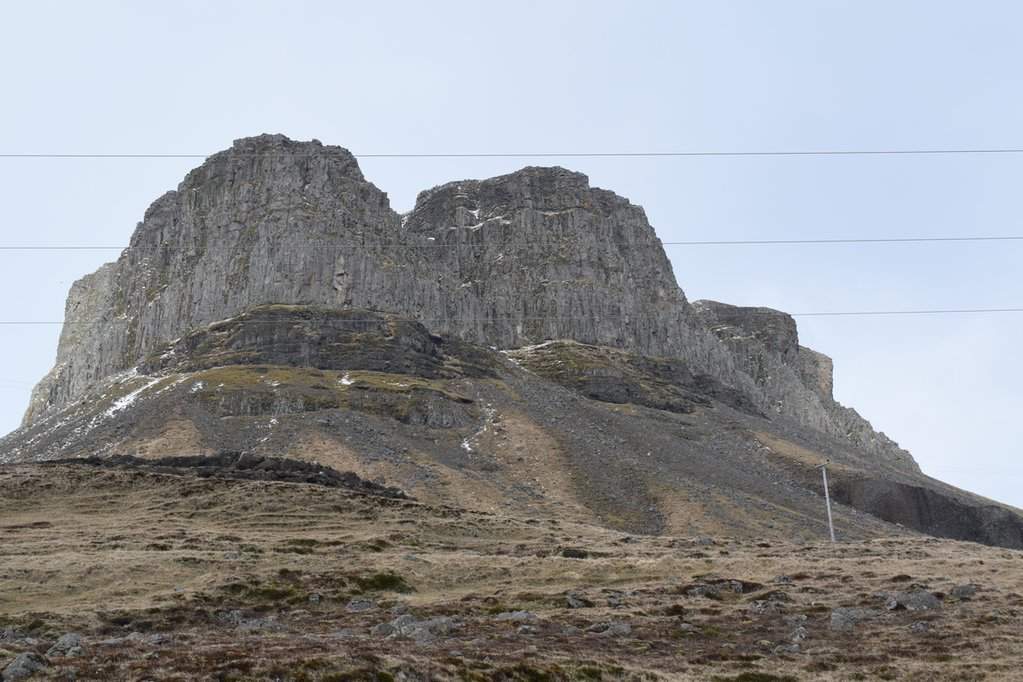 DSC_4445.JPG