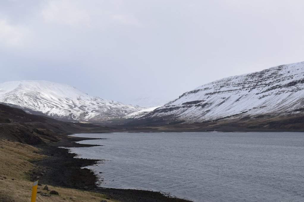 DSC_4448.JPG