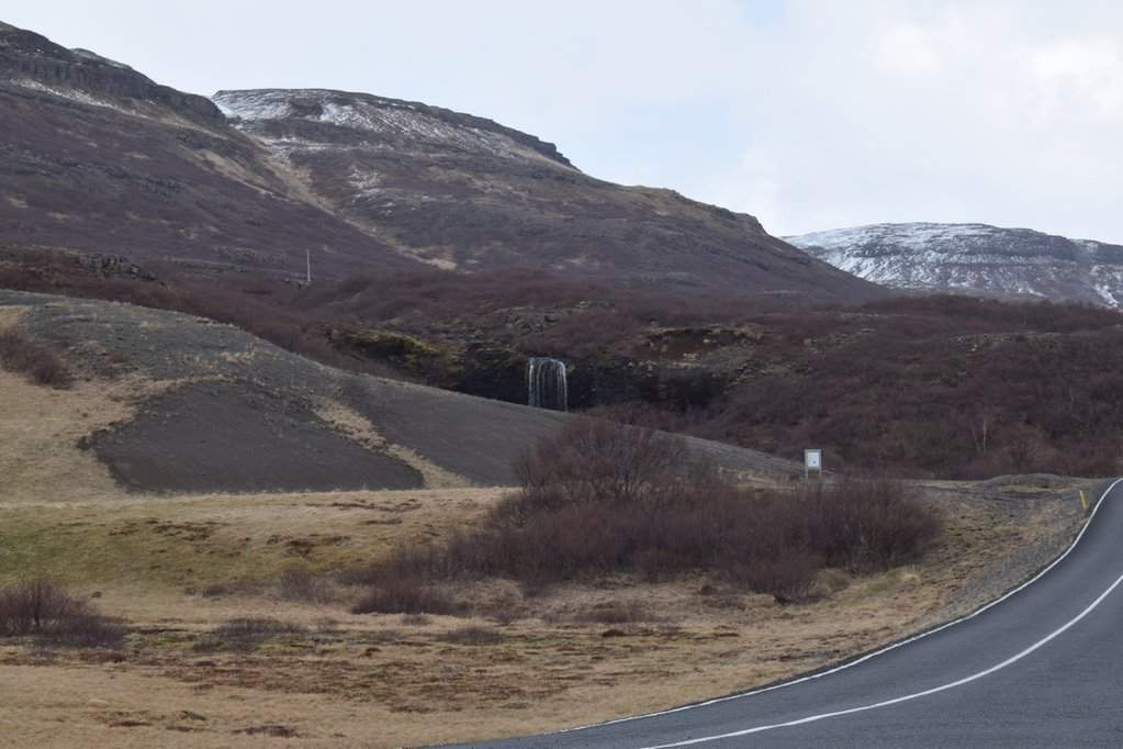 DSC_4452.JPG