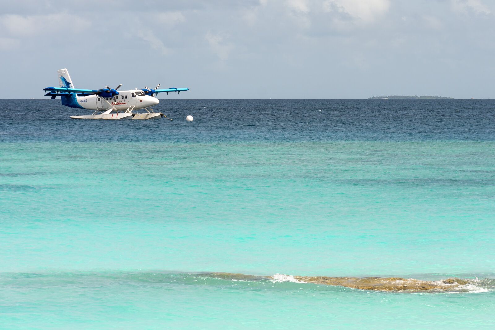 DSC_6292-1.jpg