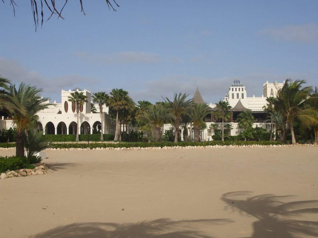DSCF8524.JPG
