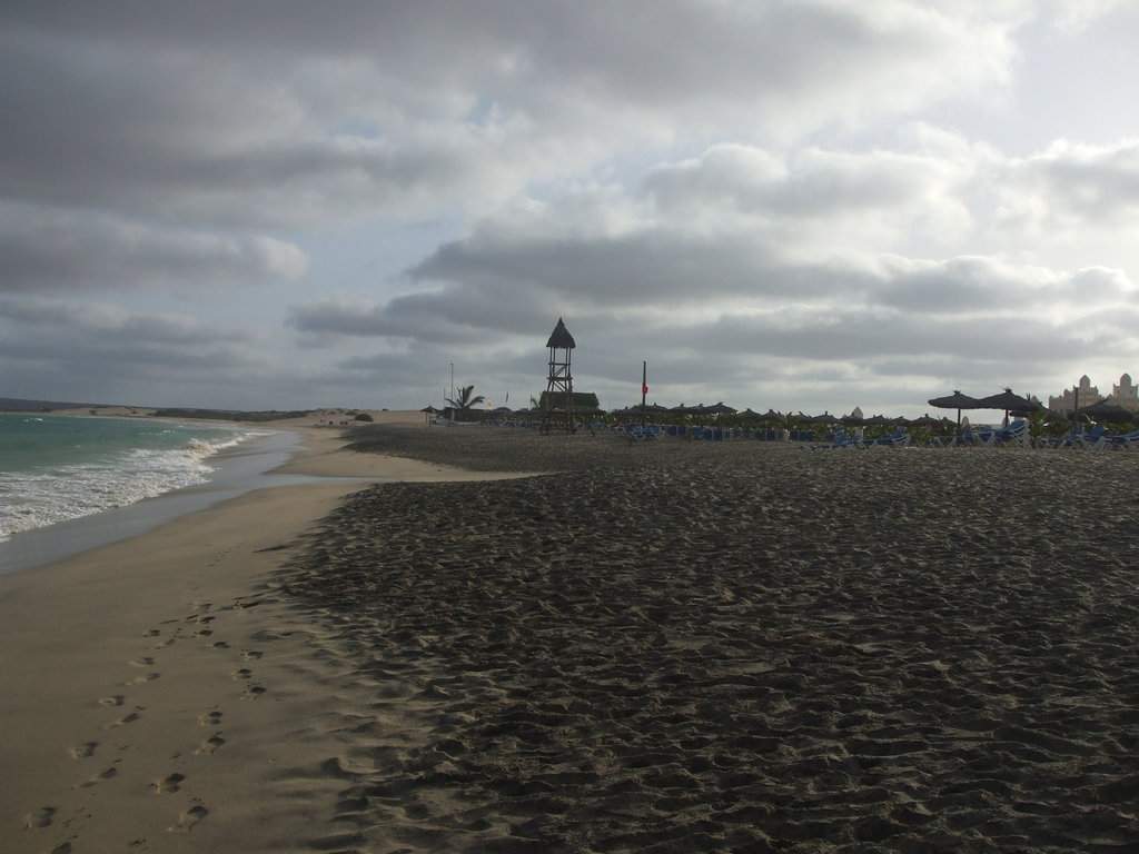 DSCF8600.JPG