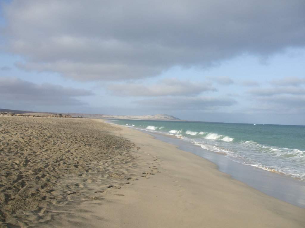 DSCF8601.JPG