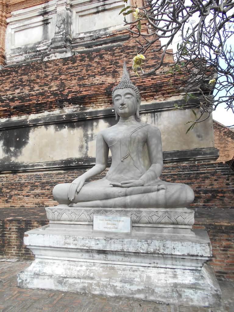DSCN2052.JPG