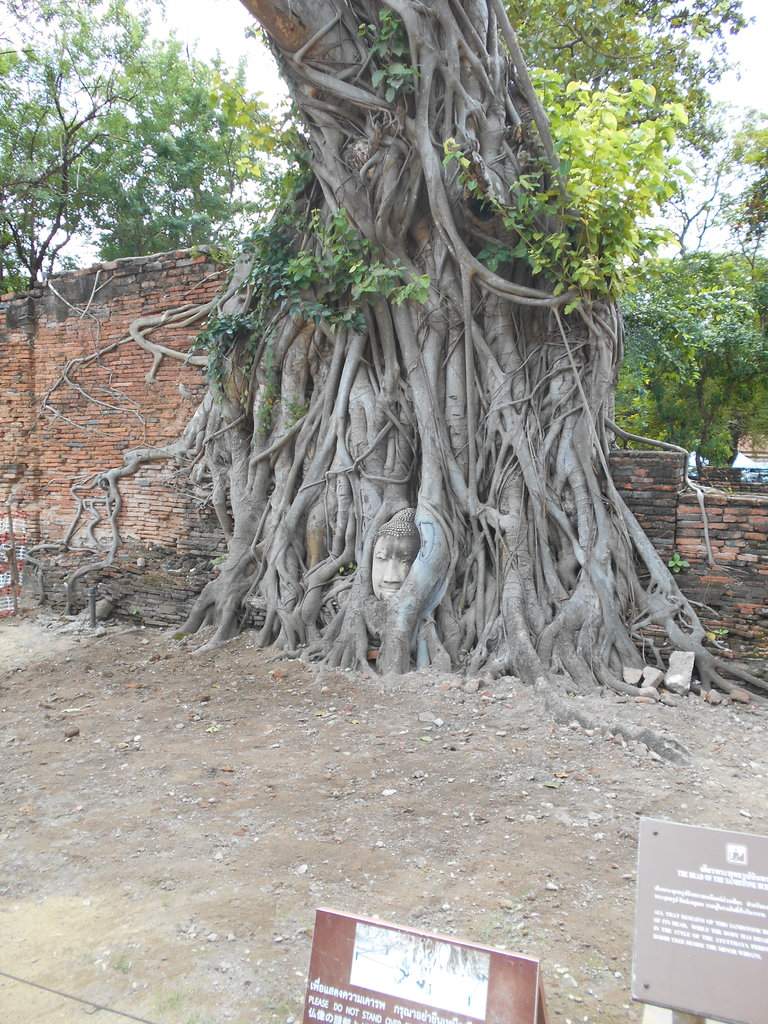 DSCN2093.JPG