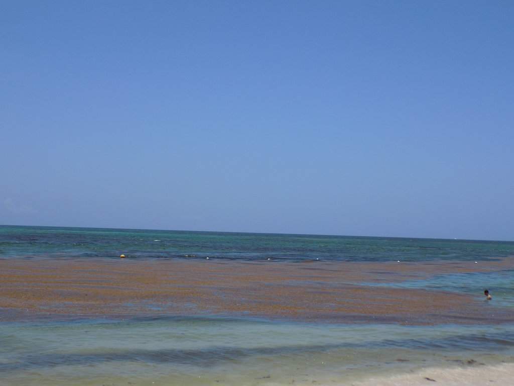 DSCN2245.JPG