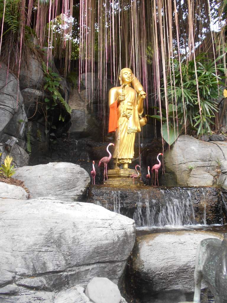 DSCN2286.JPG