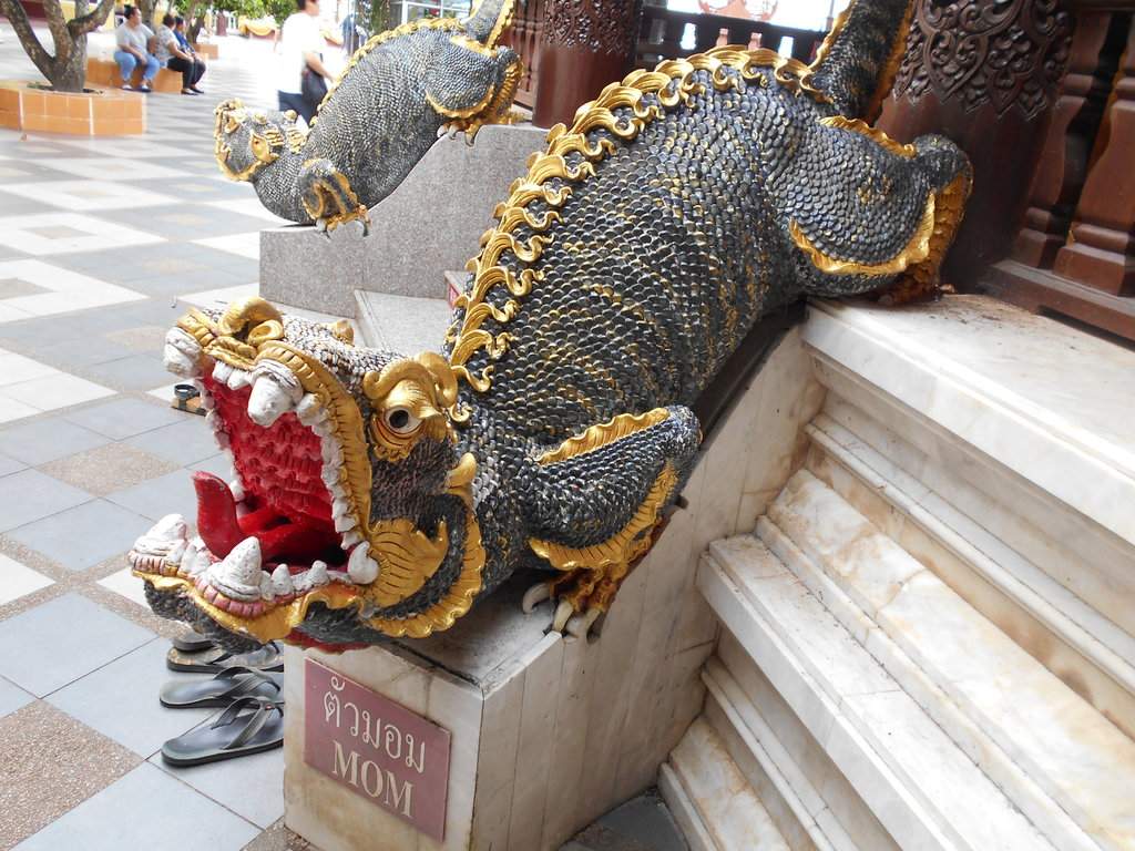 DSCN2345.JPG