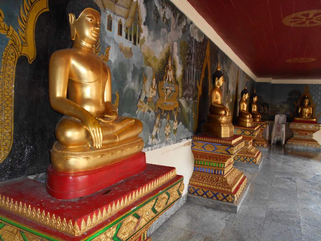 DSCN2373.JPG